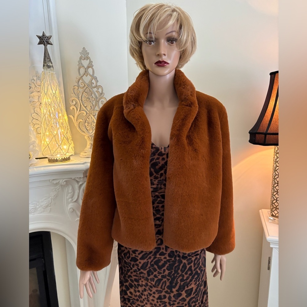 Forever 21 Rust Teddy Jacket - Picture 4 of 13